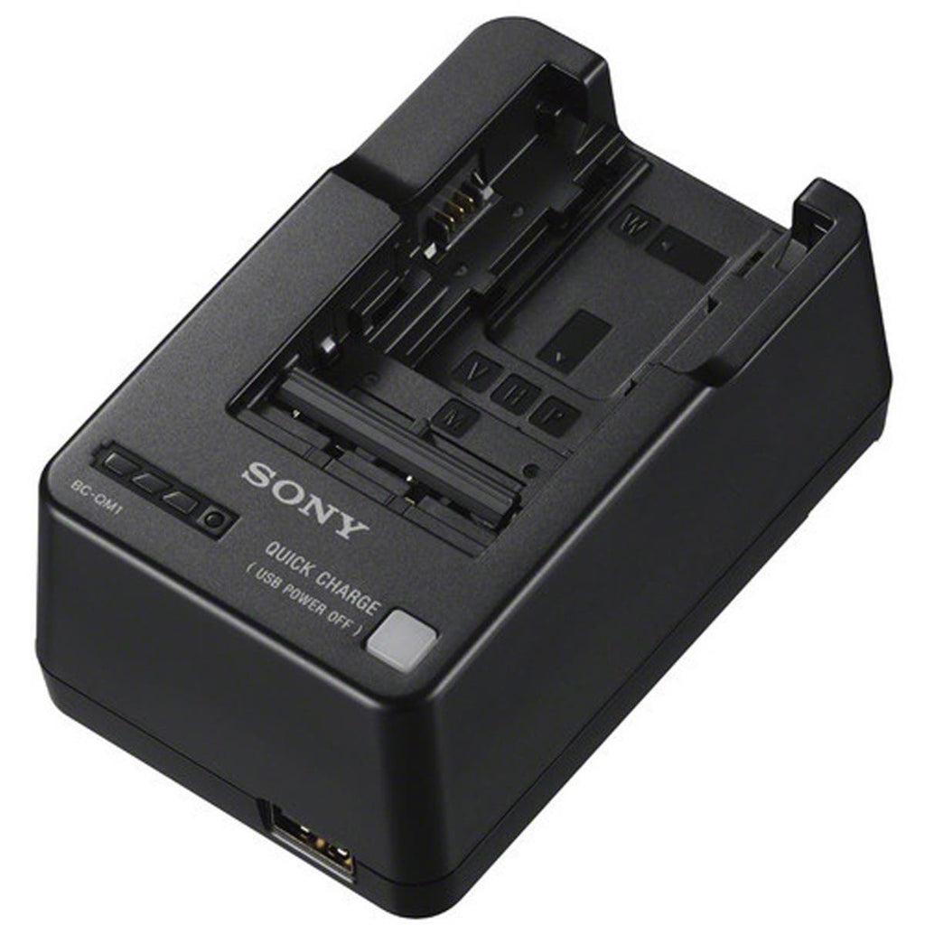 Sony BCQM1 Battery Charger for V/H/P/W/M Series Batteries