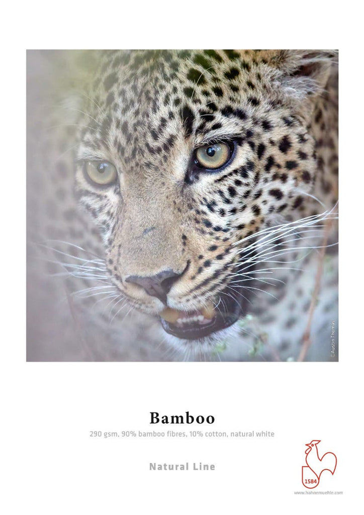 Hahnemuhle A3 Bamboo 290 20 sheet