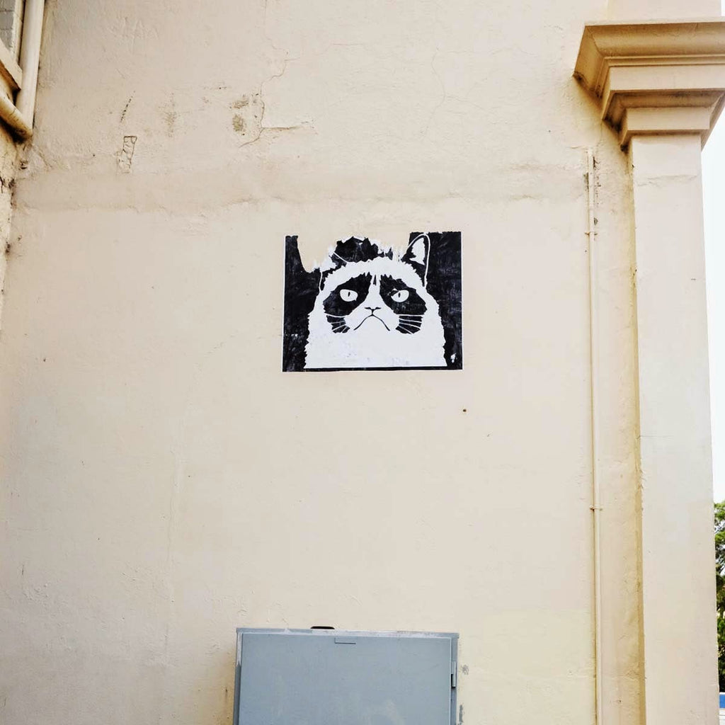 DSCF9384.jpg