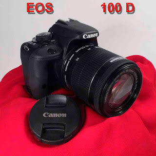 DSF7592.jpg