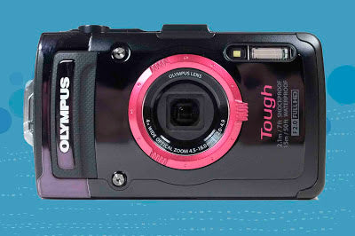 DSF8107.jpg