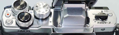 P1010879A.jpg