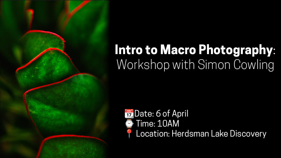 Intro to Macro Photography Workshop with Simon Cowling