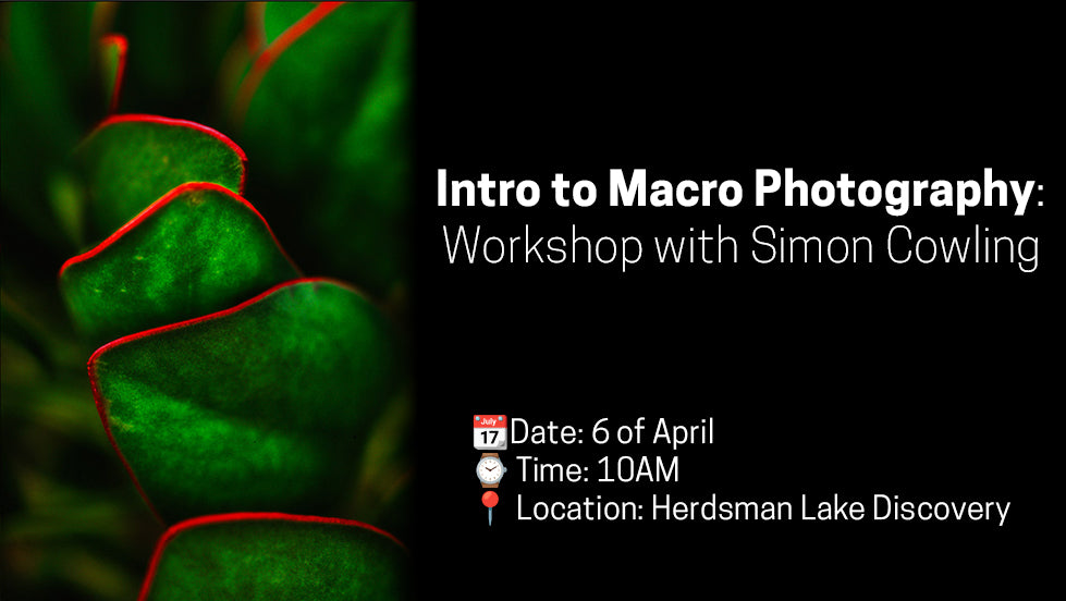 Intro to Macro Photography: Workshop with Simon Cowling 6 of April 2024