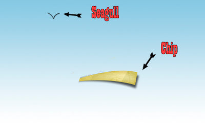 chip.jpg