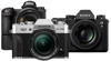 Cameras -> Mirrorless Cameras