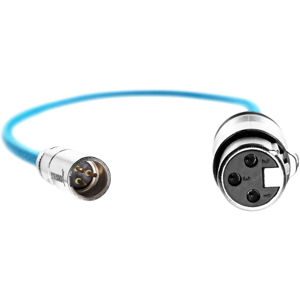 Kondor Blue Mini-XLR Male to XLR Female Audio Cable for Canon C70 & BMPCC 6K/4K (Blue, 16")