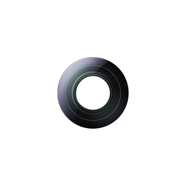 Insta360 X6 Replacement Lens Kit