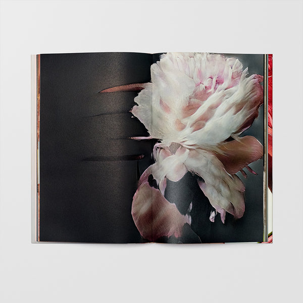 Sigma Foundation Photobook Hanataba