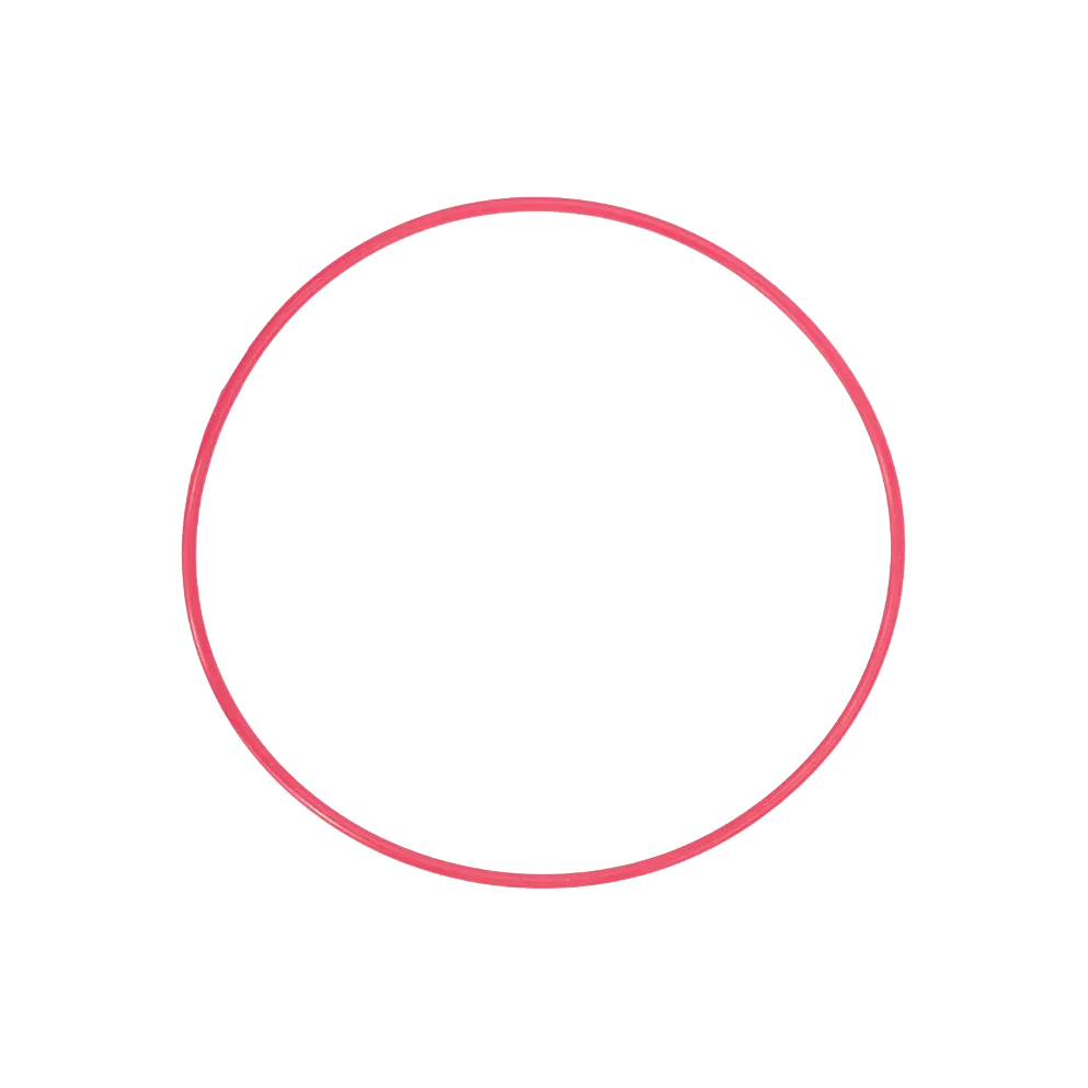 OM System POL-EP14 O-Ring