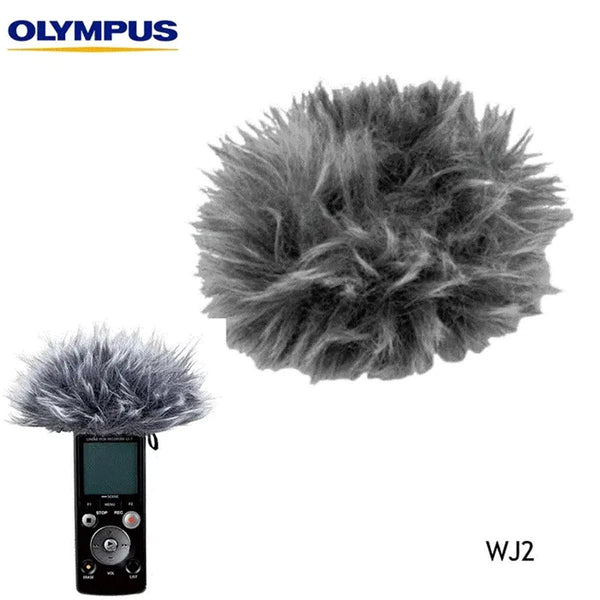 Olympus WJ2 Windjammer for LS-P2 & LS-P4