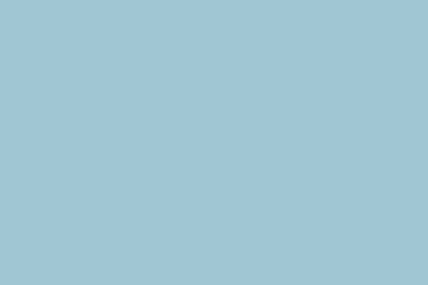 Superior Seamless Background Paper 02 Sky Blue (2.75m x 11m)