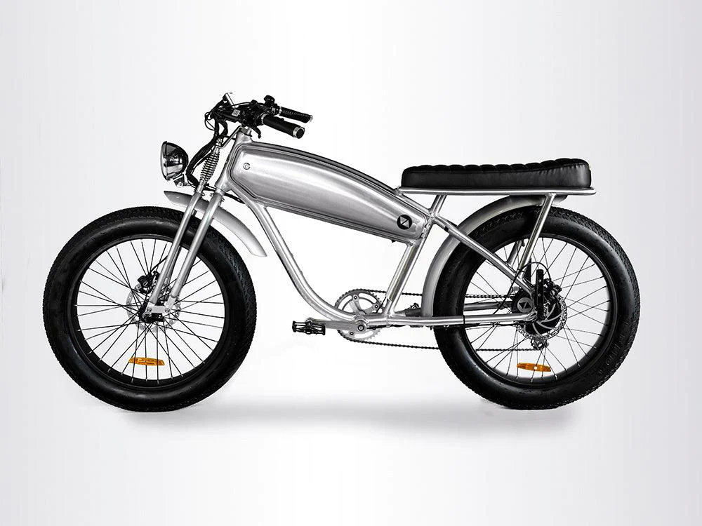 Vallkree Moon Dog EBike 500 Watt Twin Seat Silver Camera