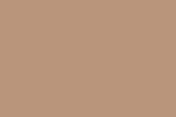 Superior Seamless Background Paper 25 Beige (2.75m x 11m)