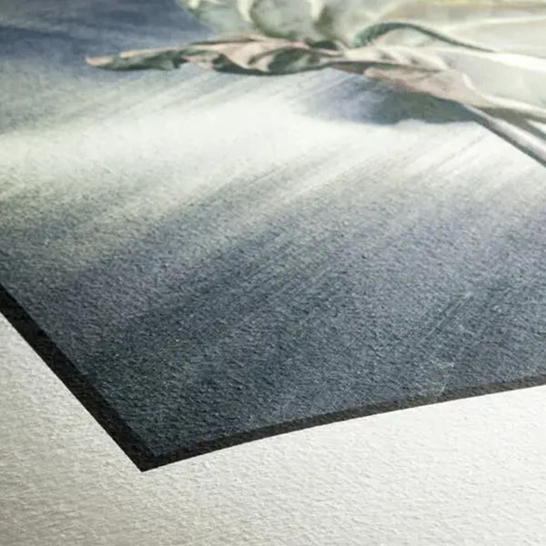Hahnemuhle German Etching Roll 24 inch x 12 metre