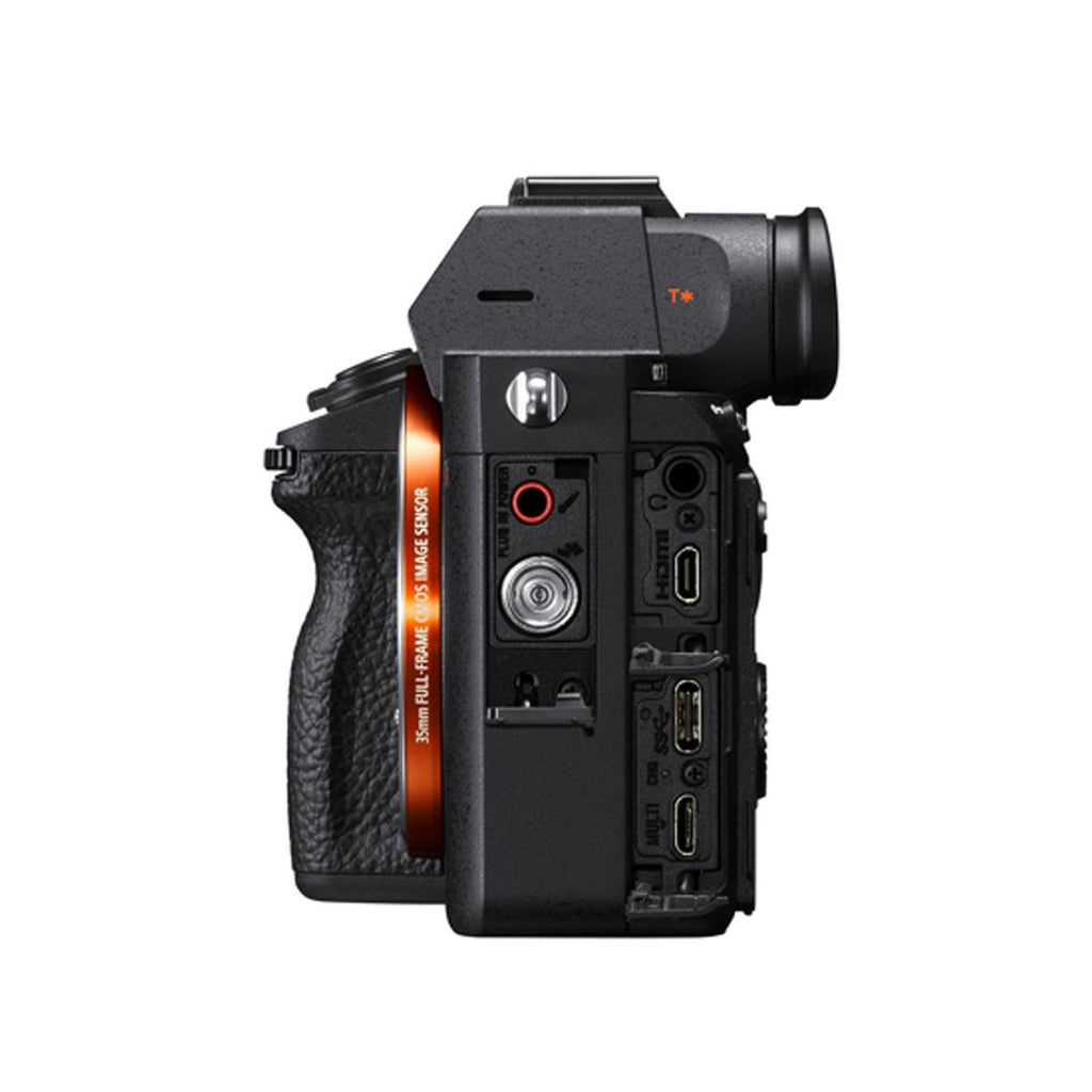sony alpha a7r iii video