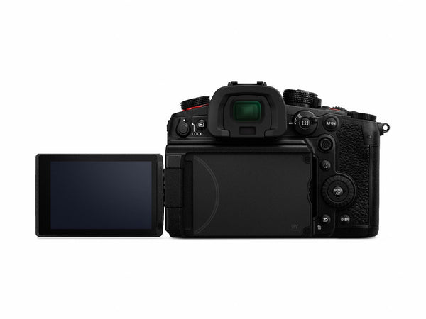 Panasonic GH6 Mirrorless Camera (Body Only)