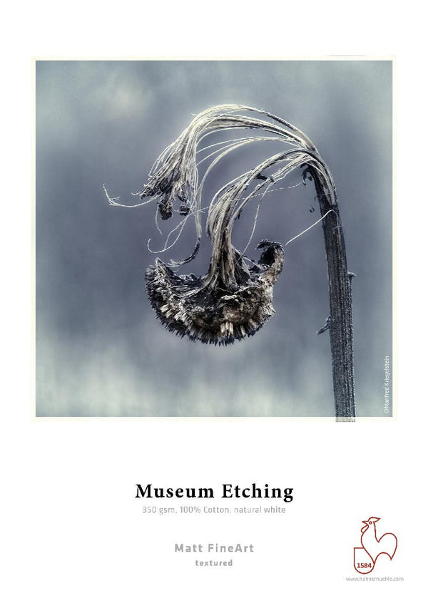 Hahnemuhle A3+ Museum Etching Matte 350 20 Sheet