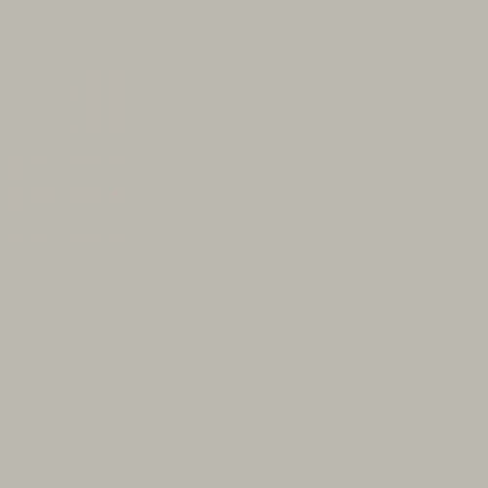 Superior Seamless Background Paper 23 Dull Allum 2.75mt x 11mt