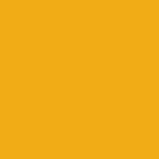 Superior Seamless Background Paper 27 Yellow Orange 2.75mt x 11mt